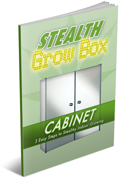 cabinet grow box